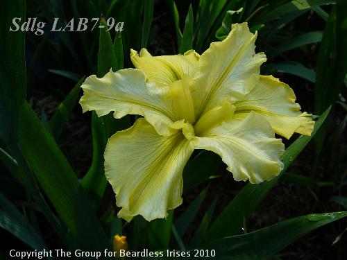 Sdlg LAB7-9a 